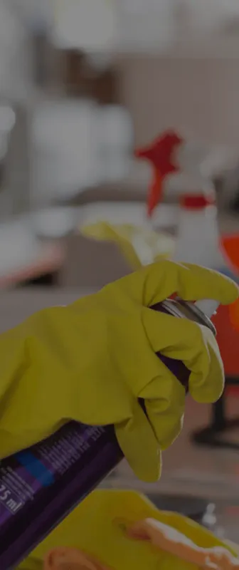 Reliable Residential & Commercial Cleaning in Albany, NY