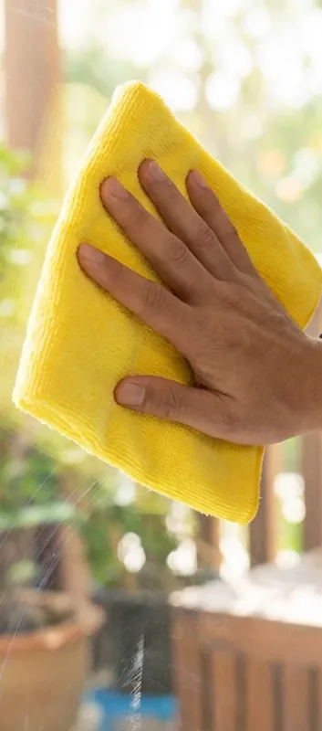 Expert Window Cleaning in Albany, NY
